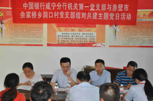 中國(guó)銀行咸寧分行黨委書記,行長(zhǎng)姜建華在洞口村參加支郚主題黨日活動(dòng).jpg