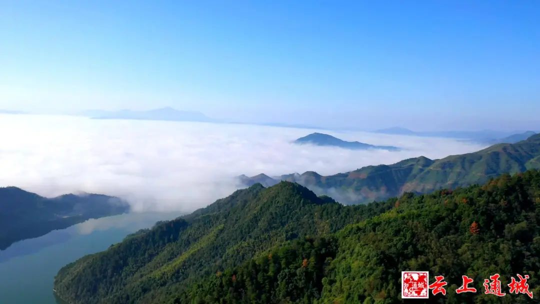 喜訊！咸寧多了一個“中國天然氧吧”